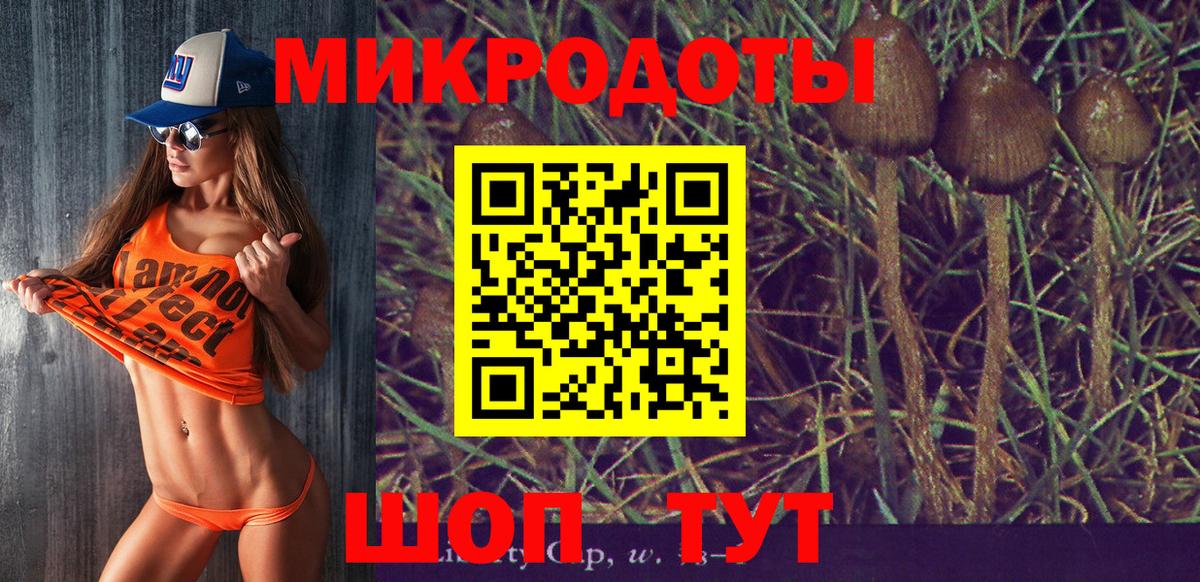 Псилоцибиновые грибы MAGIC MUSHROOMS  Вход с VPN  Тайшет  Галлюциногенные грибы Cubensis 