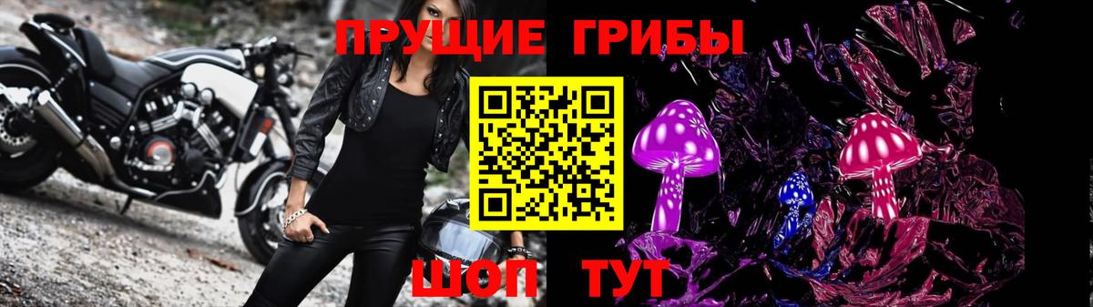 Псилоцибиновые грибы прущие грибы Тайшет